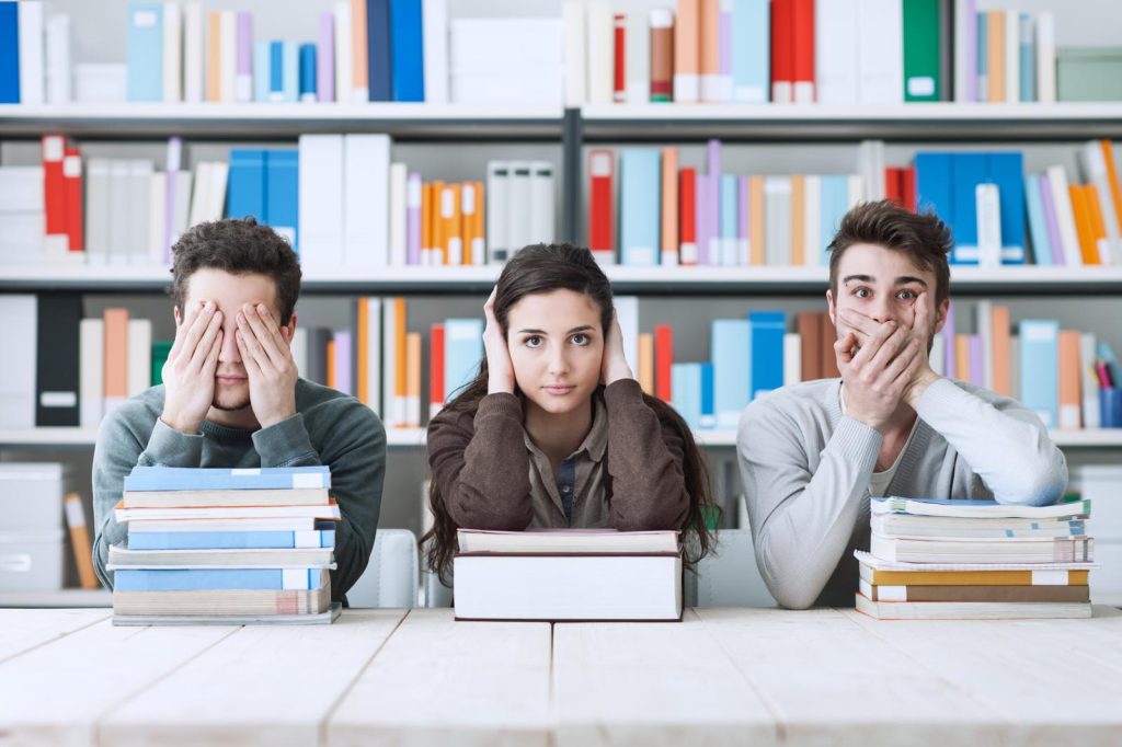 Scuole paritarie a Roncoferraro