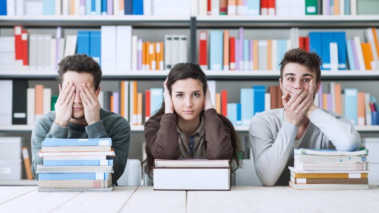 Scuole paritarie a Roncoferraro