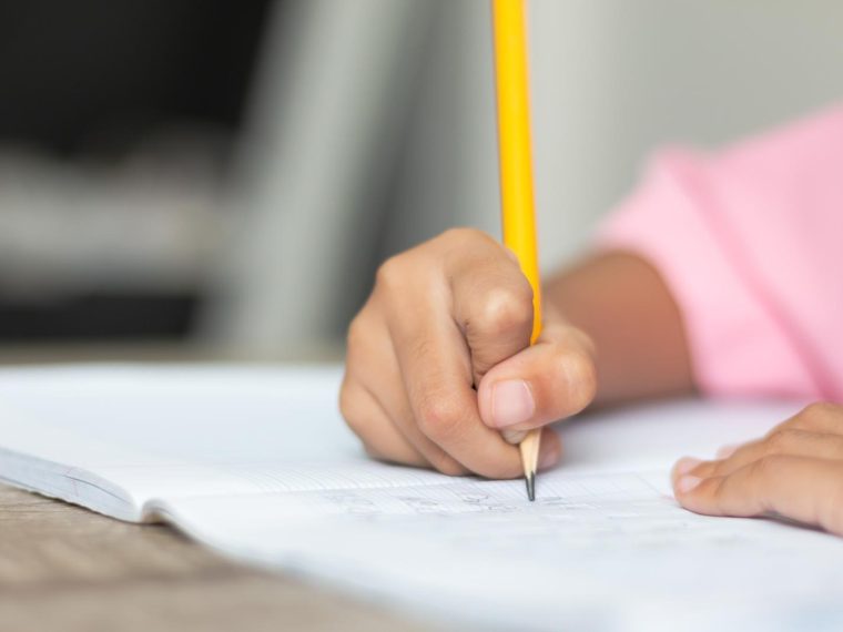 Scuole private a Gozzano