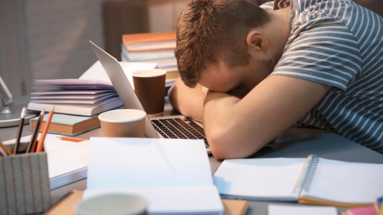 Scuole private a Mezzolombardo