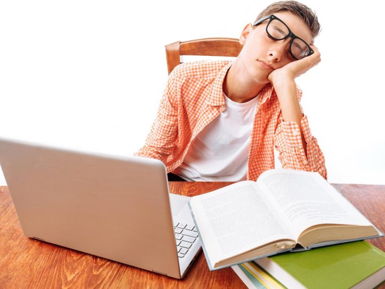 Scuole private a Montalto di Castro